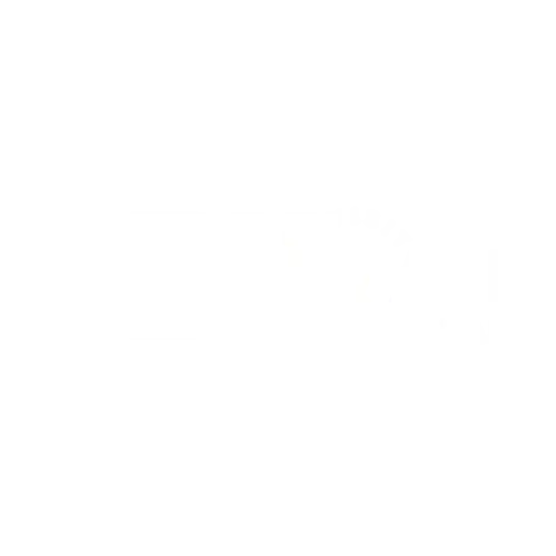 dubaivisit.com